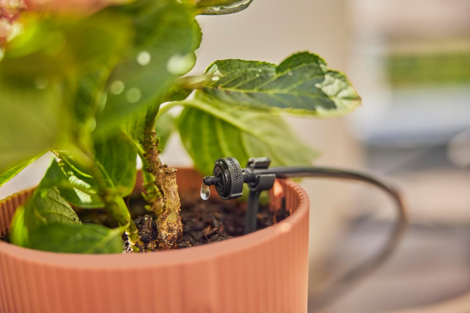Drip irrigation (Tropfbewässerung)