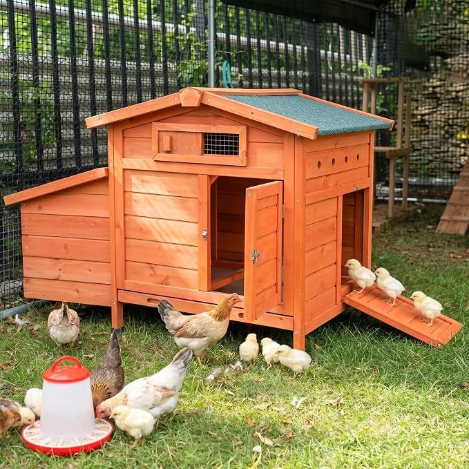Compact coop, 2–3 hens
